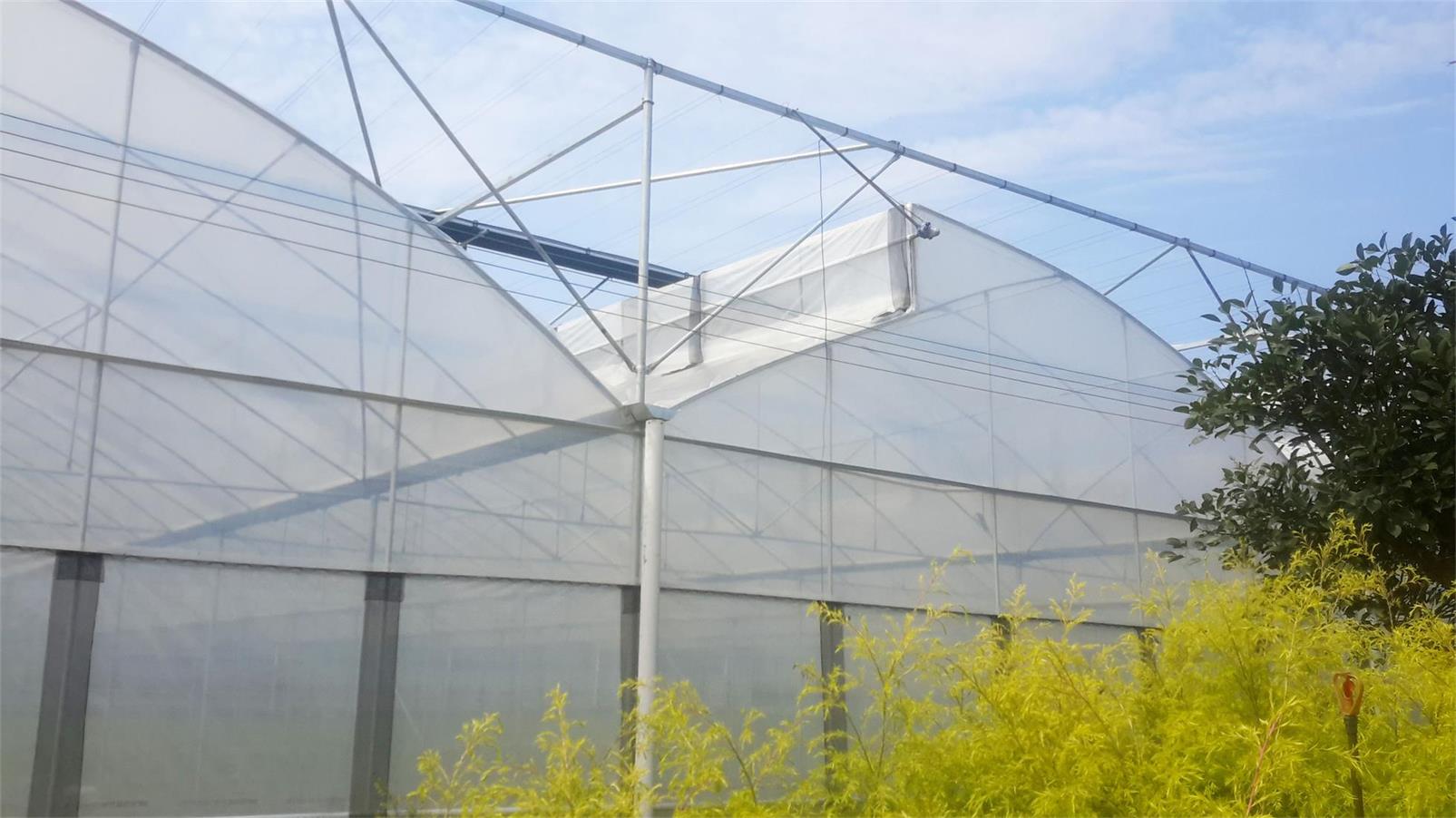 成都溫室大棚案例